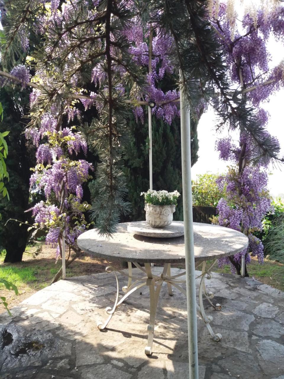 Novecento B&B Bollengo Екстериор снимка
