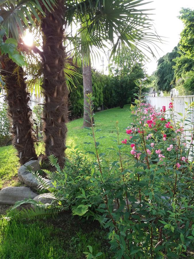 Novecento B&B Bollengo Екстериор снимка