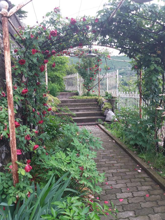 Novecento B&B Bollengo Екстериор снимка